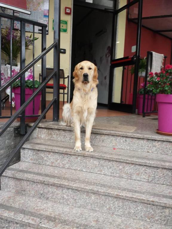 Hotel Renato Sesto San Giovanni Luaran gambar