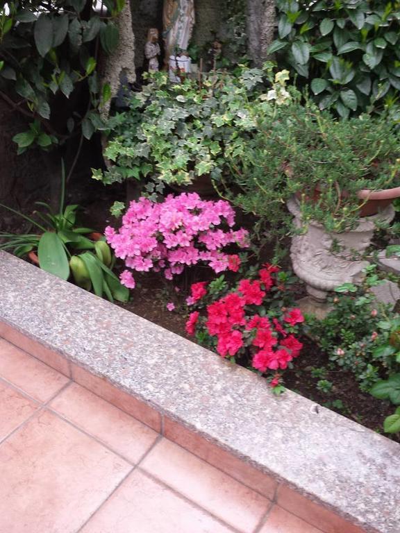 Hotel Renato Sesto San Giovanni Luaran gambar